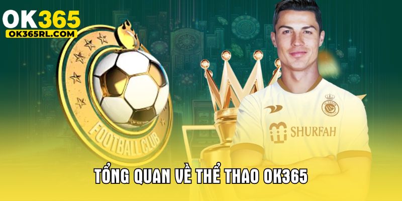 Tổng quan về thể thao OK365
